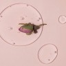 AROMATICA Reviving Rose Infusion Serum